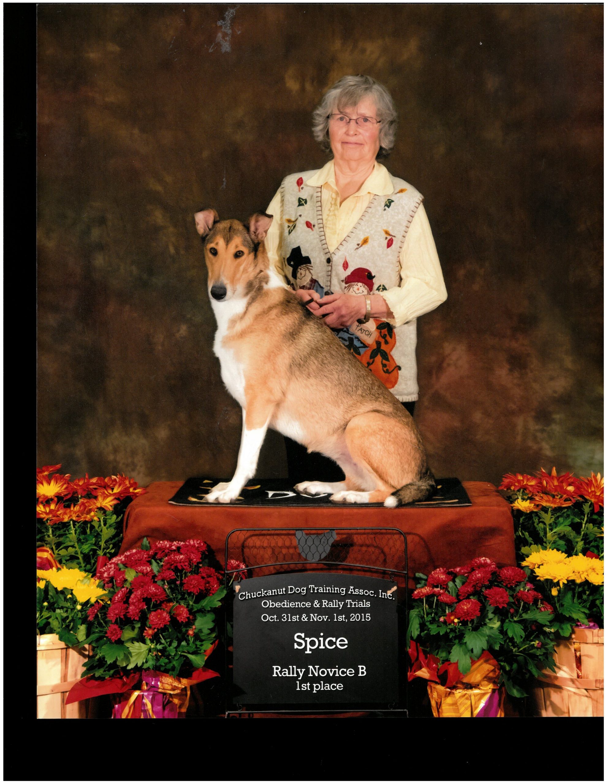 smooth collies winner