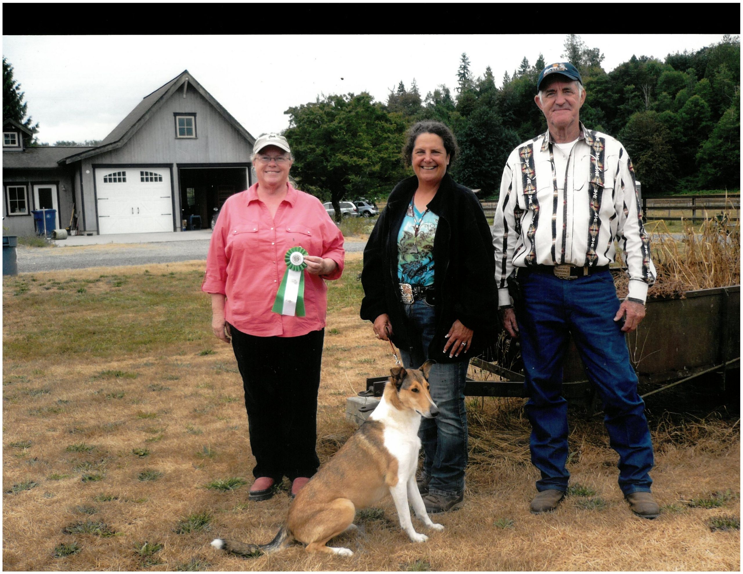 smooth collie USA